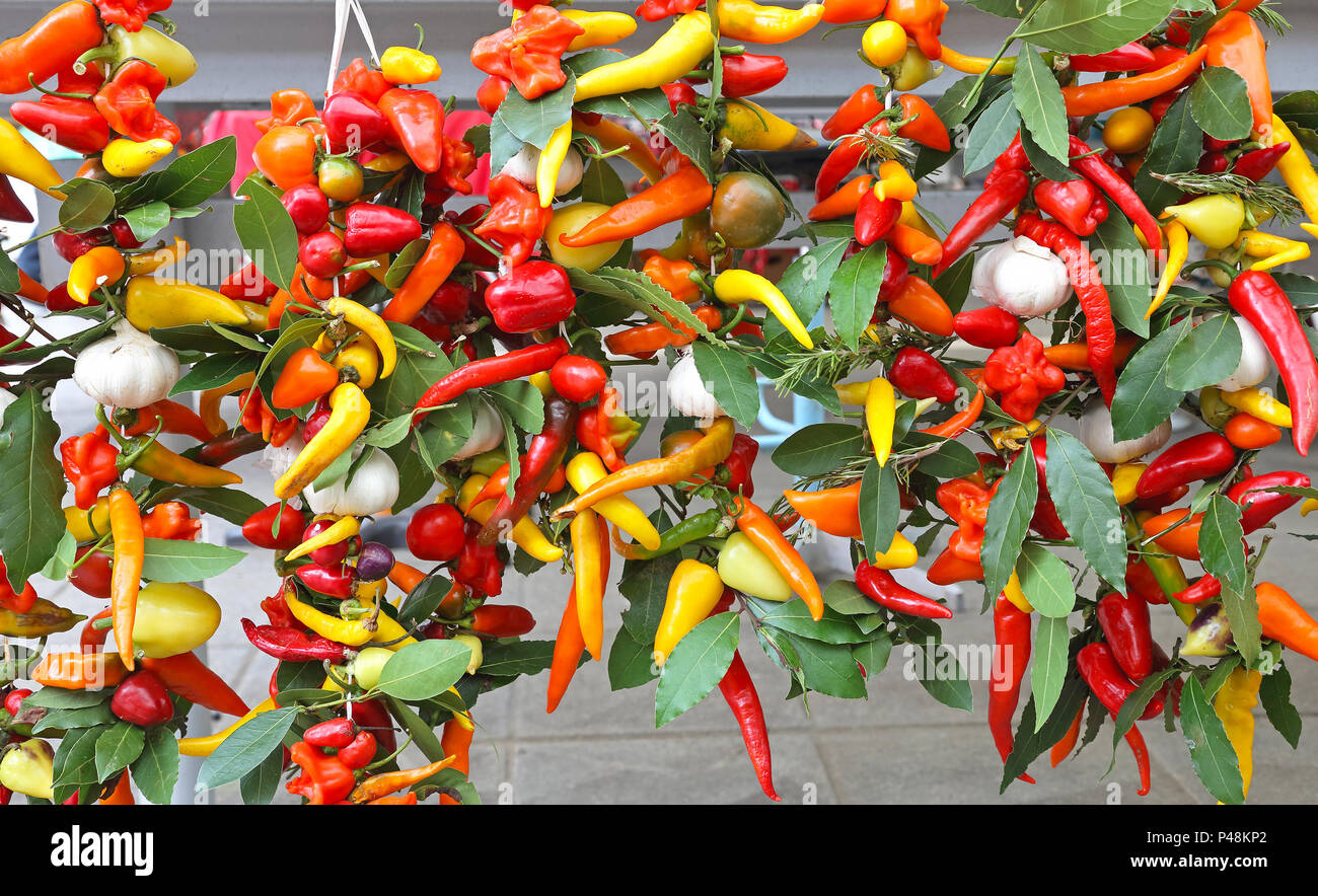 Colorful Hot Chili Peppers Hanging at Strings Stock Photo - Alamy