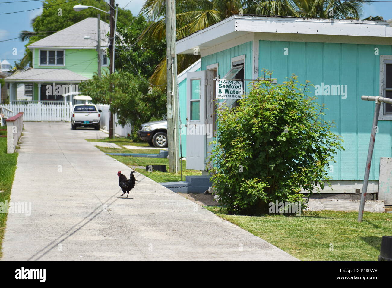Downtown Historic New Plymouth businesses and buildings on small narrow