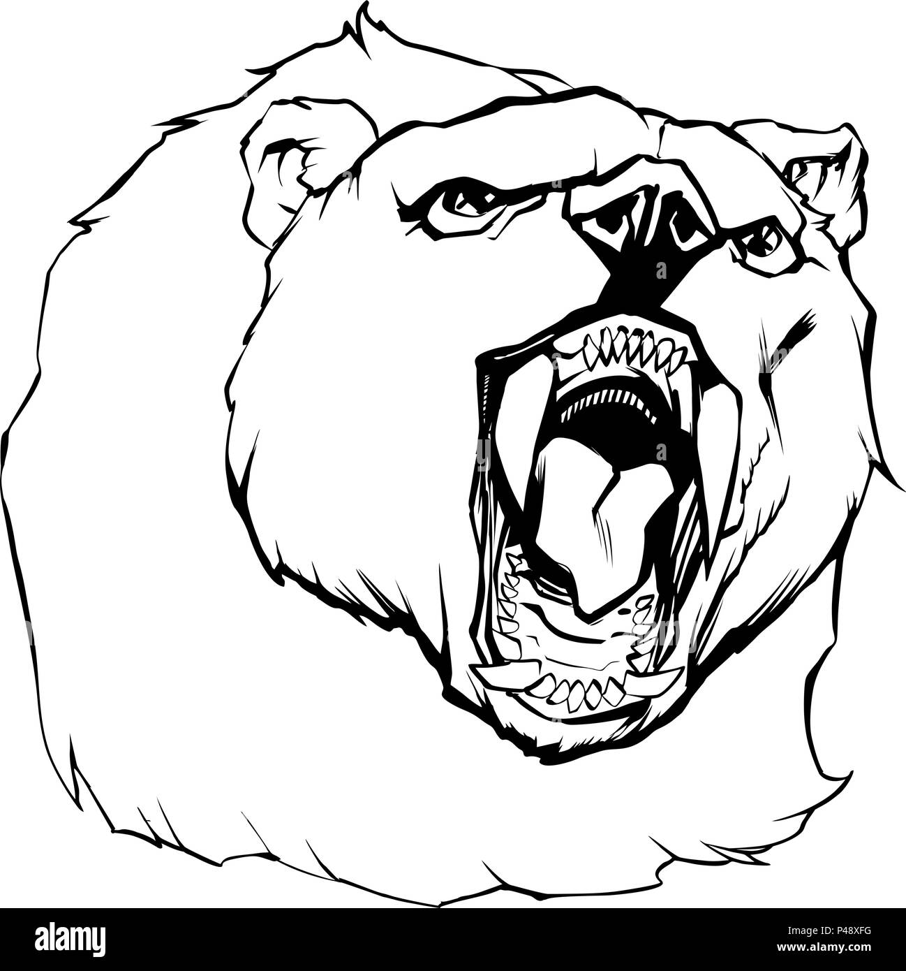 Bear Head Illustration Stock Vector Image &amp; Art - Alamy