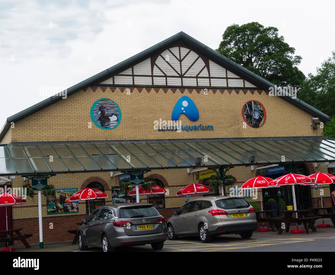Lakes aquarium newby bridge hires stock photography and images Alamy