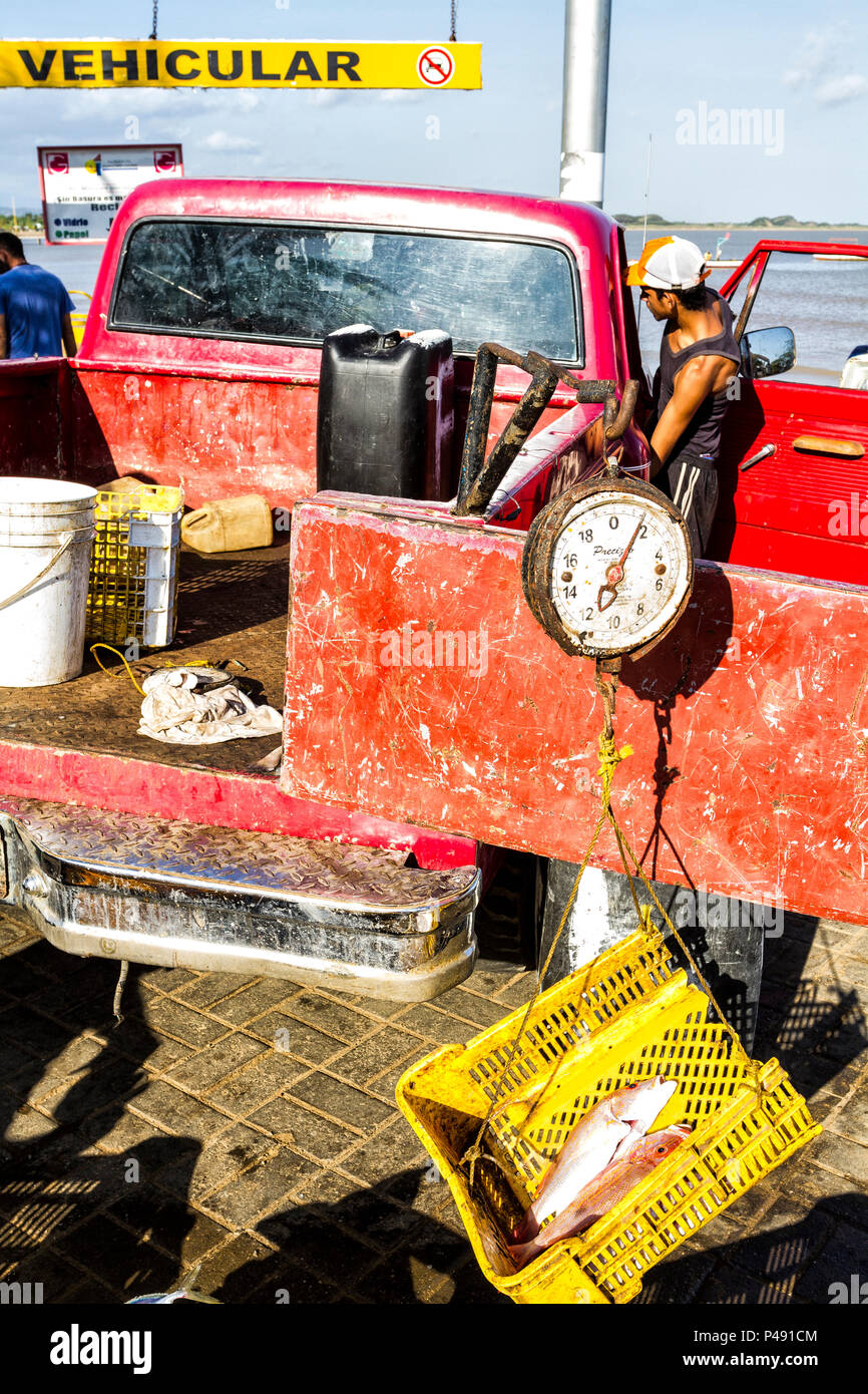 Old hanging weight scale measuring the weight of fishes in a fish