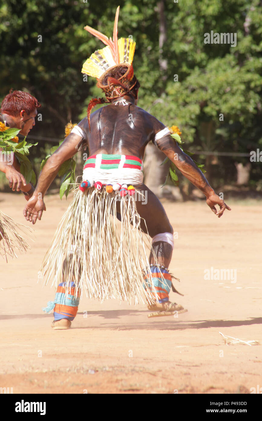 XINGU, MT – 31.07.2015: PARQUE DO XINGU – Mehinakos dançam no parque do  Xingu, no Mato Grosso. (Foto: Flávia Altenfelder / Fotoarena Stock Photo -  Alamy