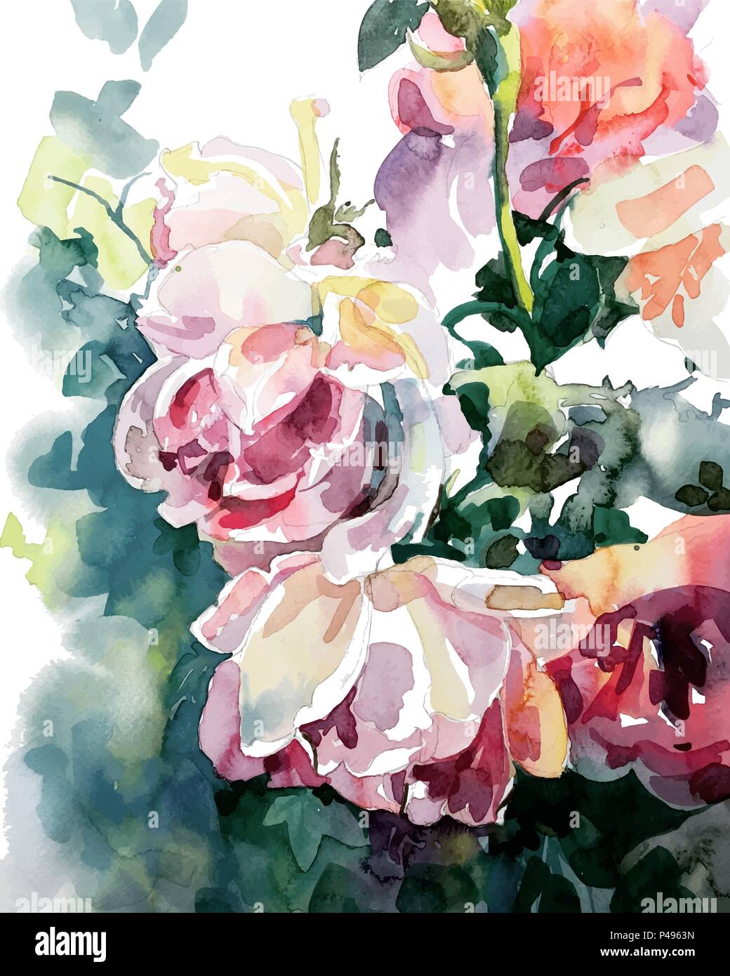 original watercolor painting of pink roses Stock Vector Image & Art - Alamy