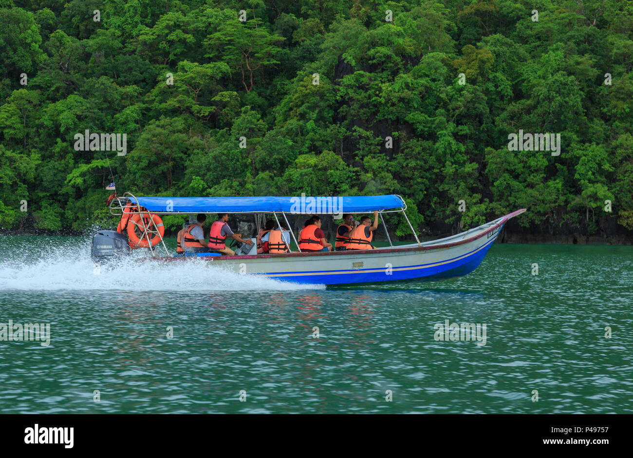 Mangrove Tour - Langkawi Island (Malaysia) Stock Photo