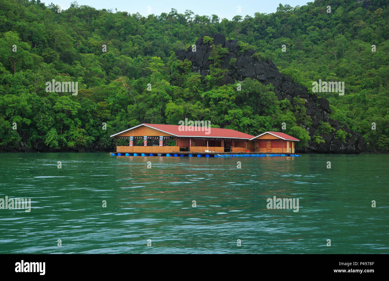 Floating Fish Farm Visit During Langkawi Mangrove Tour (Malaysia Stock