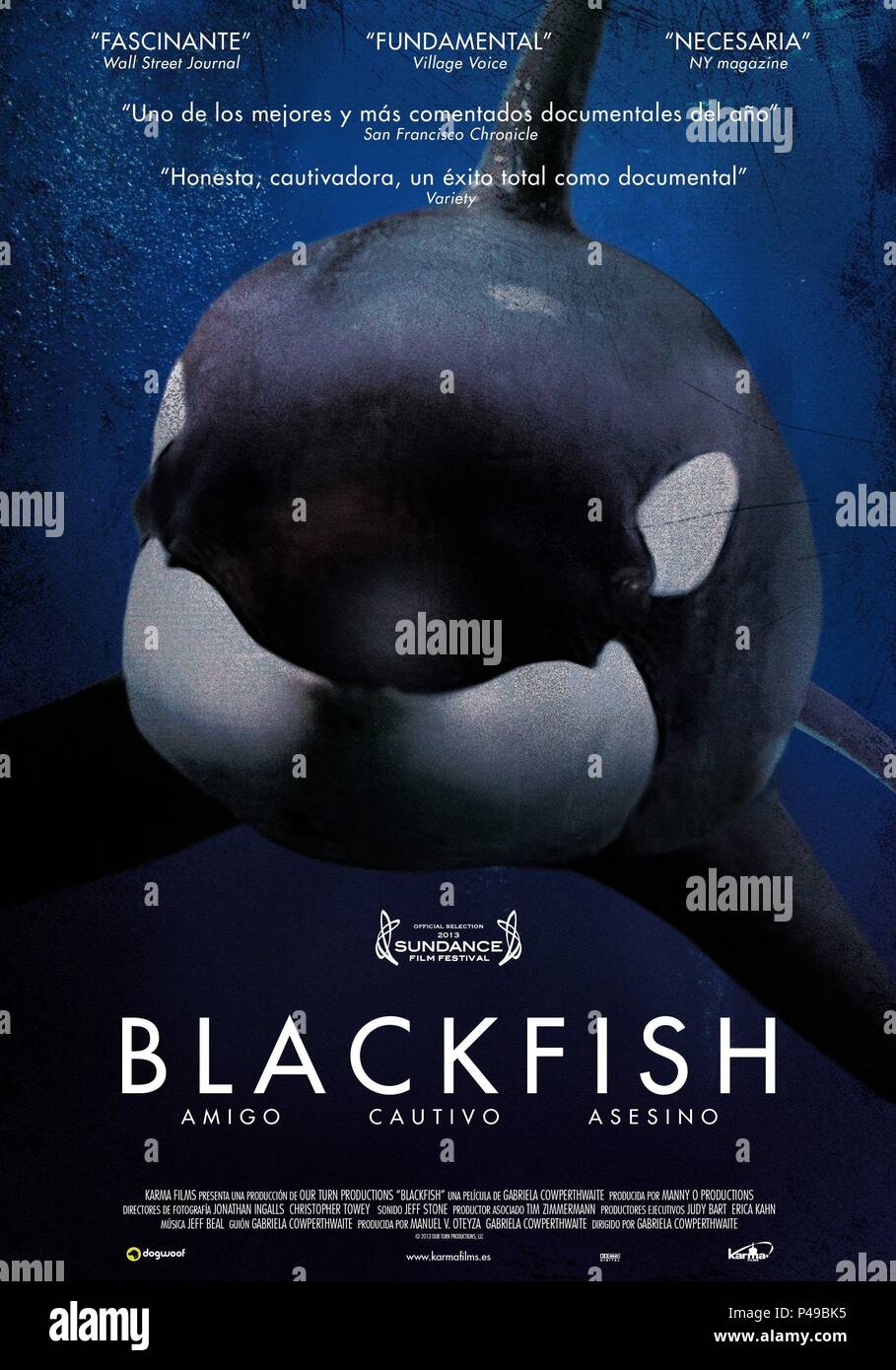 Blackfish documentary hi-res stock photography and images - Alamy
