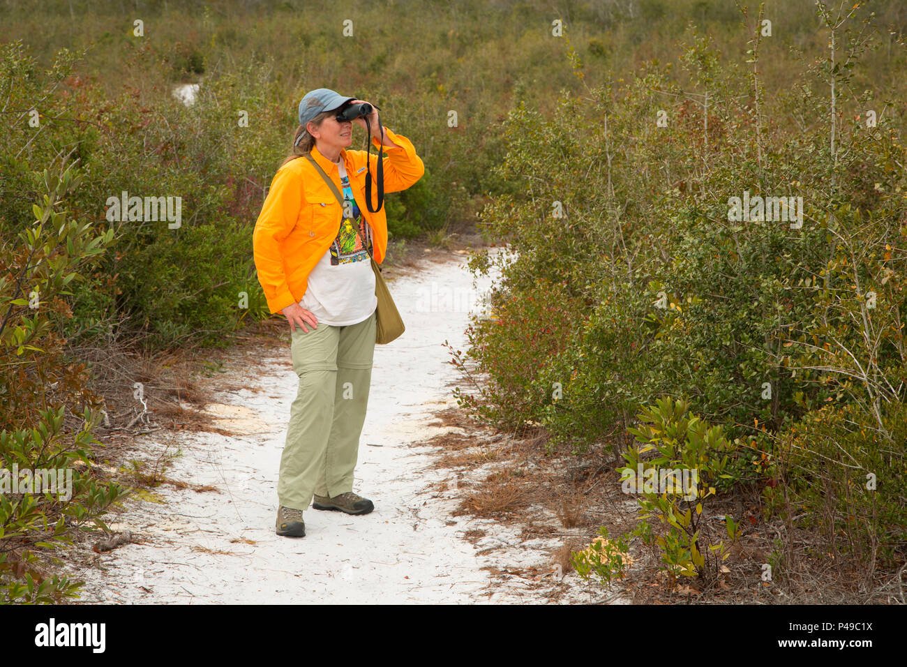 Trail through scrub, Lyonia Preserve,  Florida Stock Photo