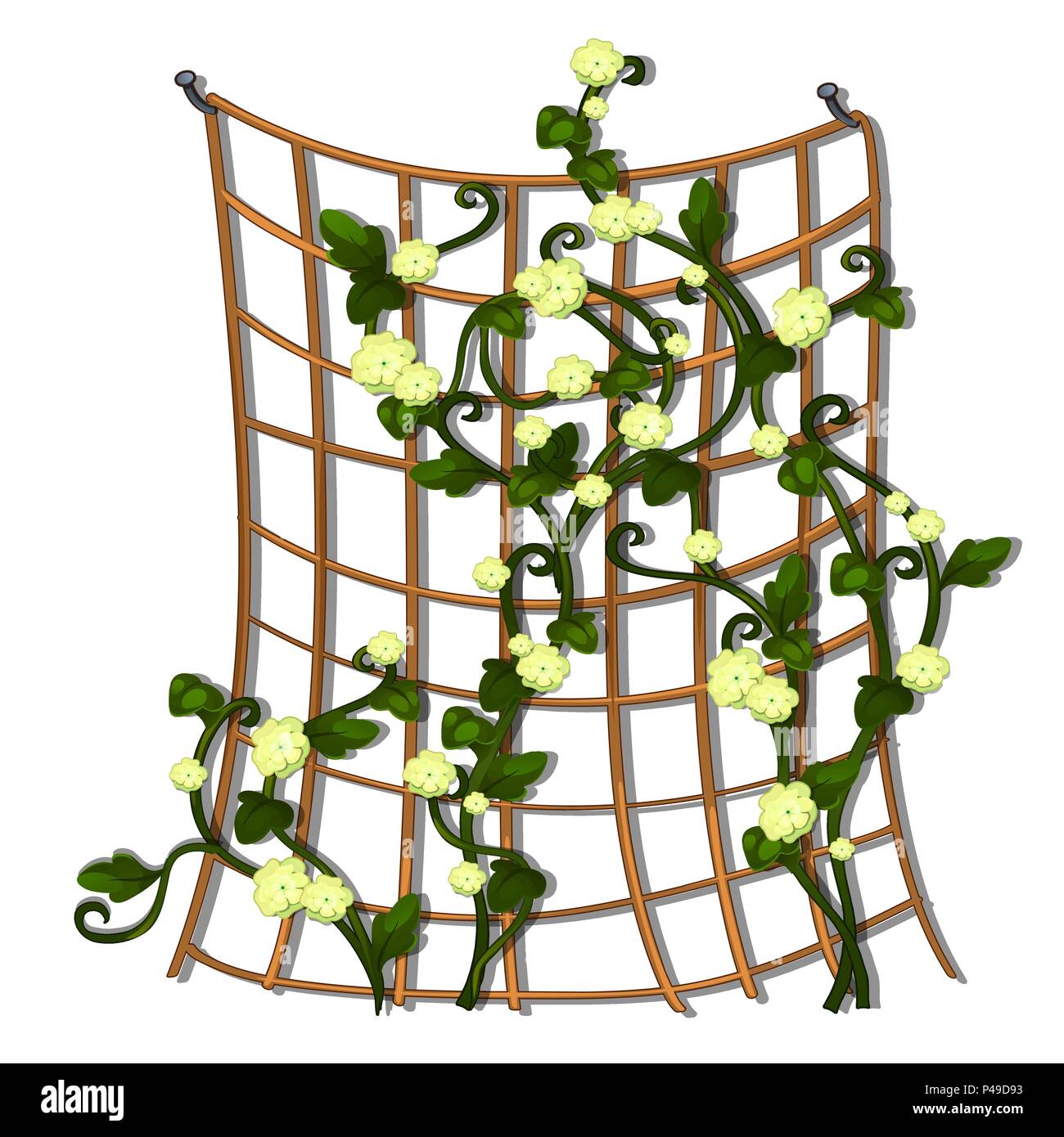 Decorative hedge made of grid tied brown rope with climbing flowering plants isolated on white background. Vector cartoon close-up illustration. Stock Vector