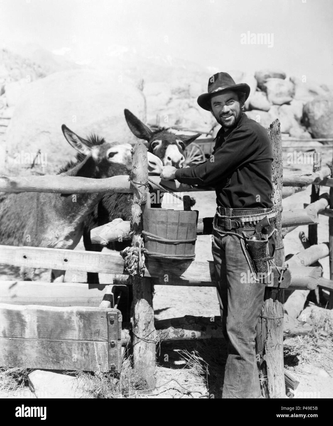 Original Film Title YELLOW SKY. English Title YELLOW SKY. Film