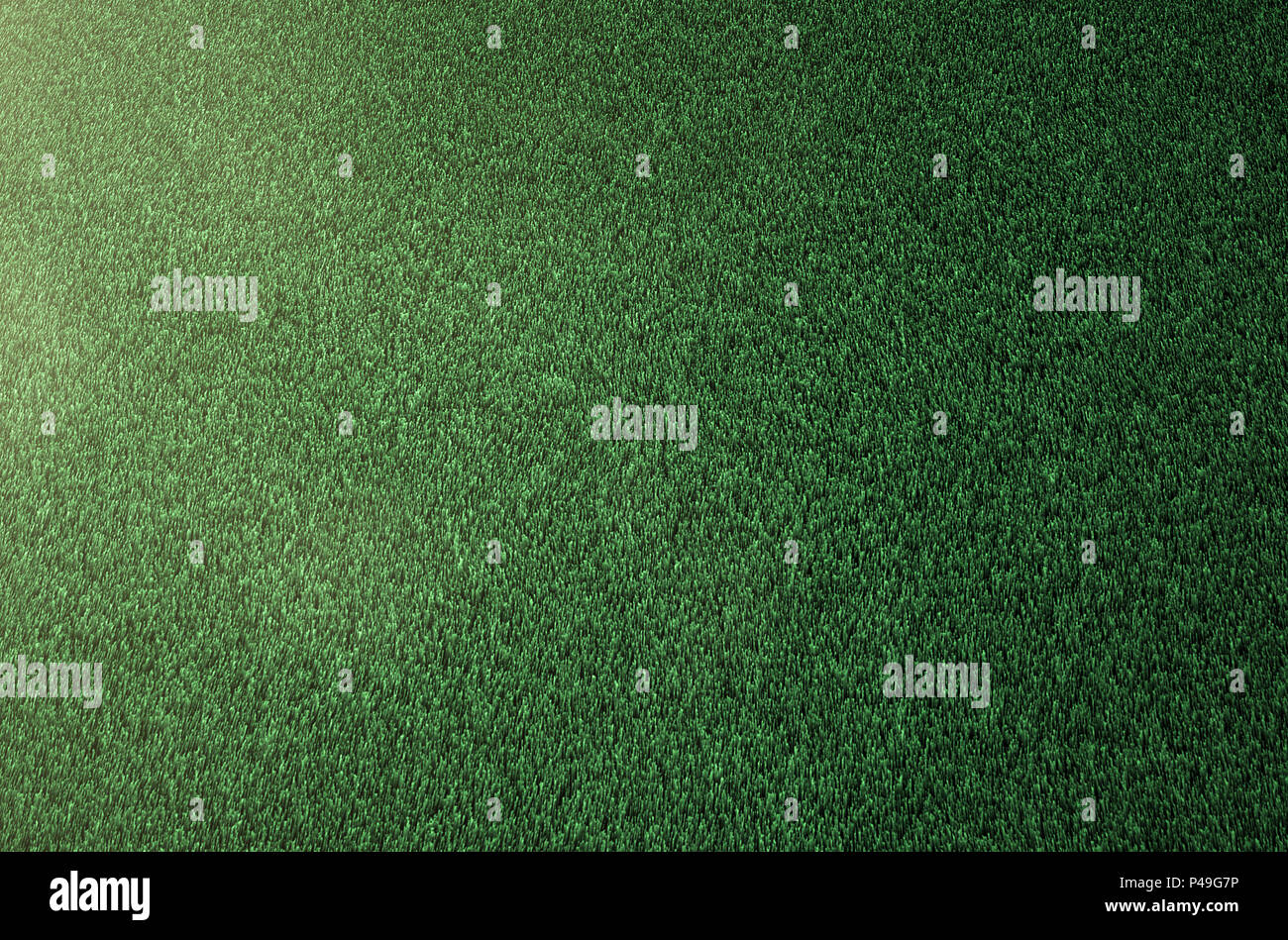 green grass texture background Stock Photo