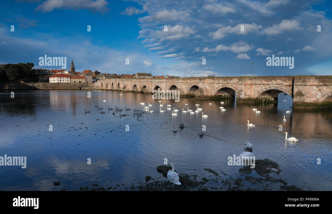 the Old Bridge, Berwick upon Tweed. During the Border Wars Berwick exchanged hands thirteen times before finally falling to England in 1482. Stock Photo