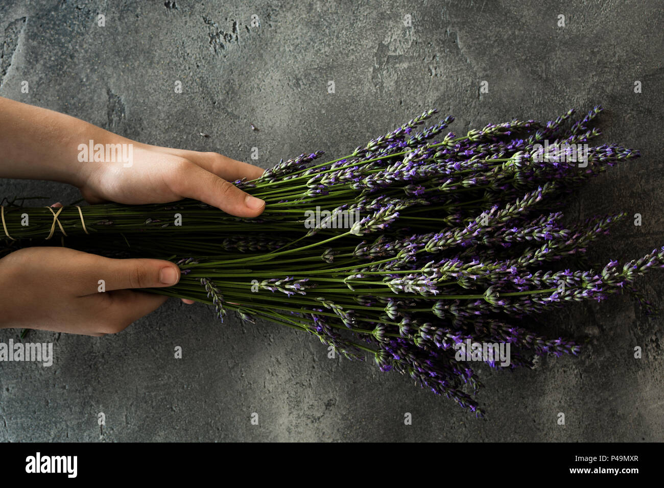 Female Hands Holding Lavender Bouquet Flowers on Rustic Dark Background Stock Photo