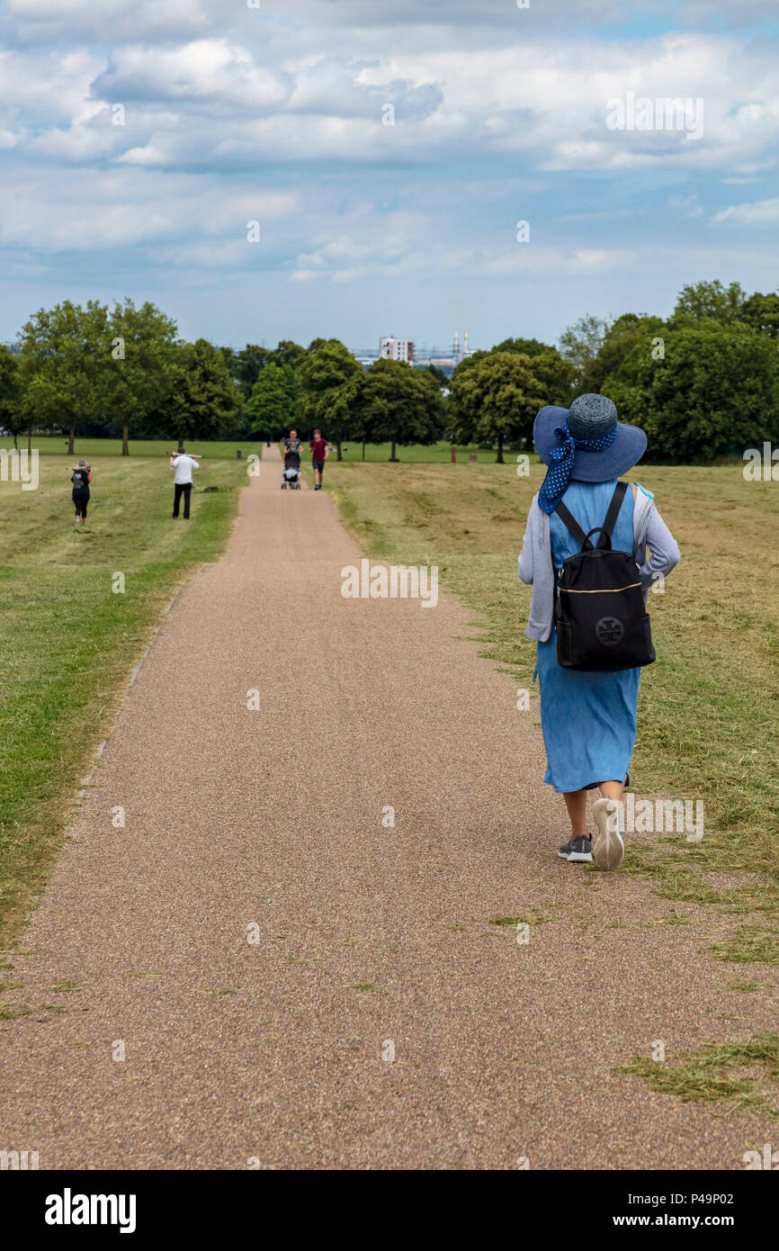 Gillingham Great Lines Heritage Park, Paths cross the green space