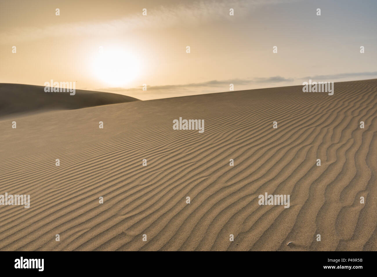 Sand dunes in the sahara desert at sunrise hi-res stock photography and ...