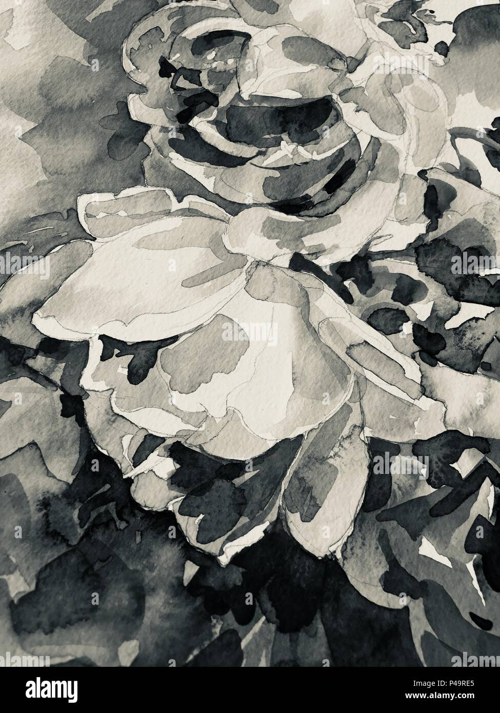 black and white hand painting watercolor pose Stock Photo Alamy