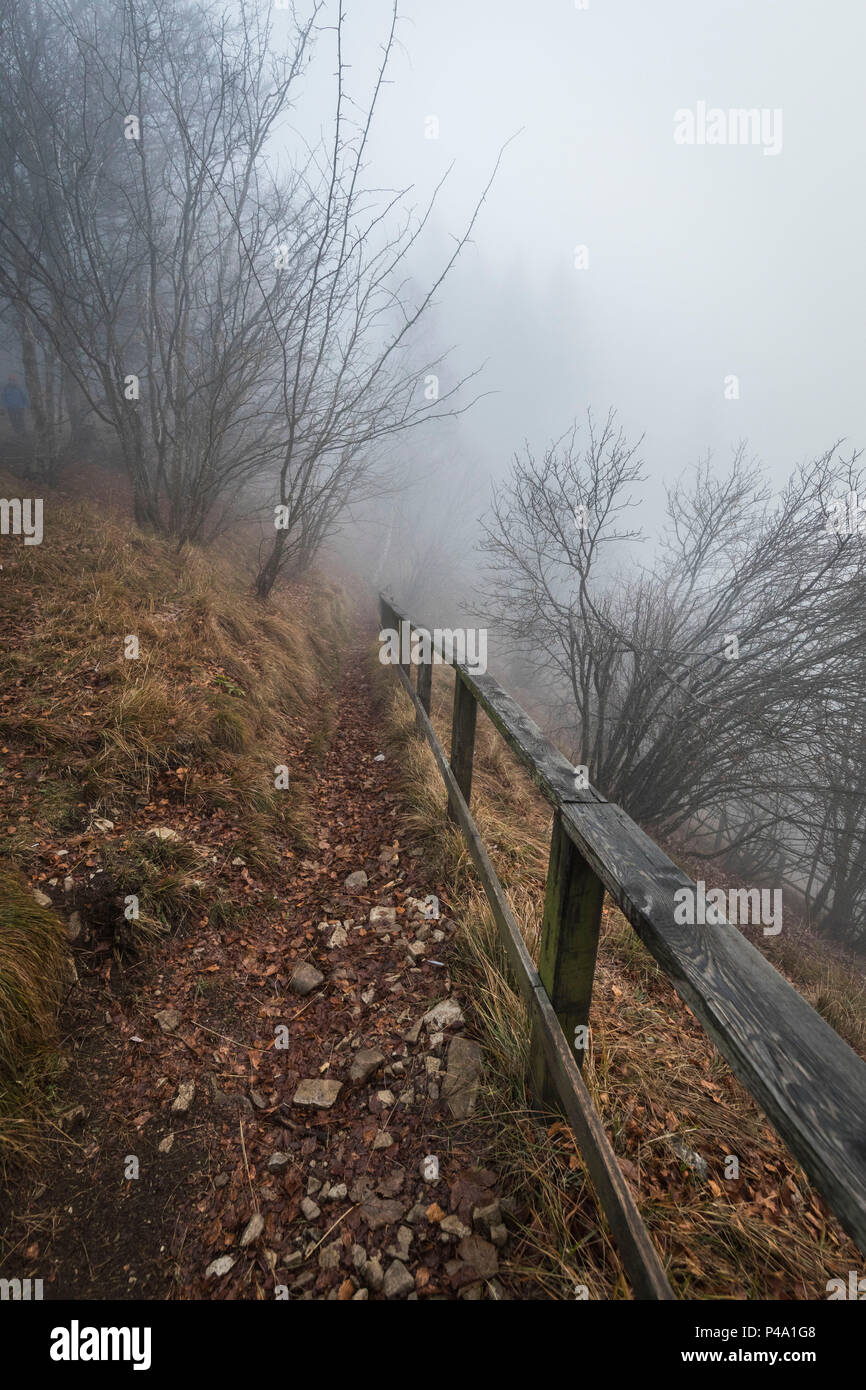 Fog on footpath in the woods of Parco della Grigna, province of Lecco, Lombardy, Italy Stock Photo