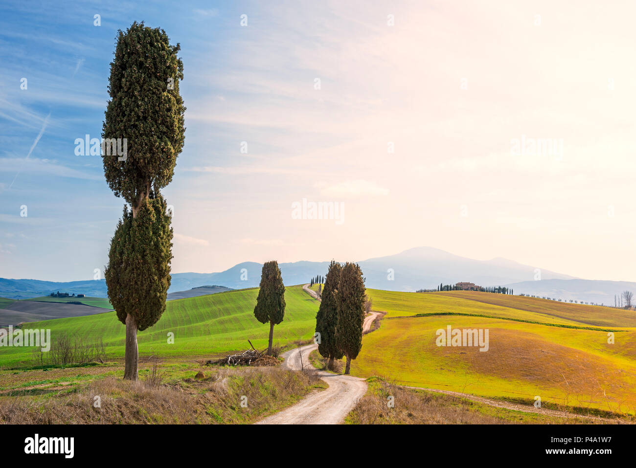 Gladiator rads in spring season Europe, Italy, Tuscany, Orcia valley, Pienza Stock Photo