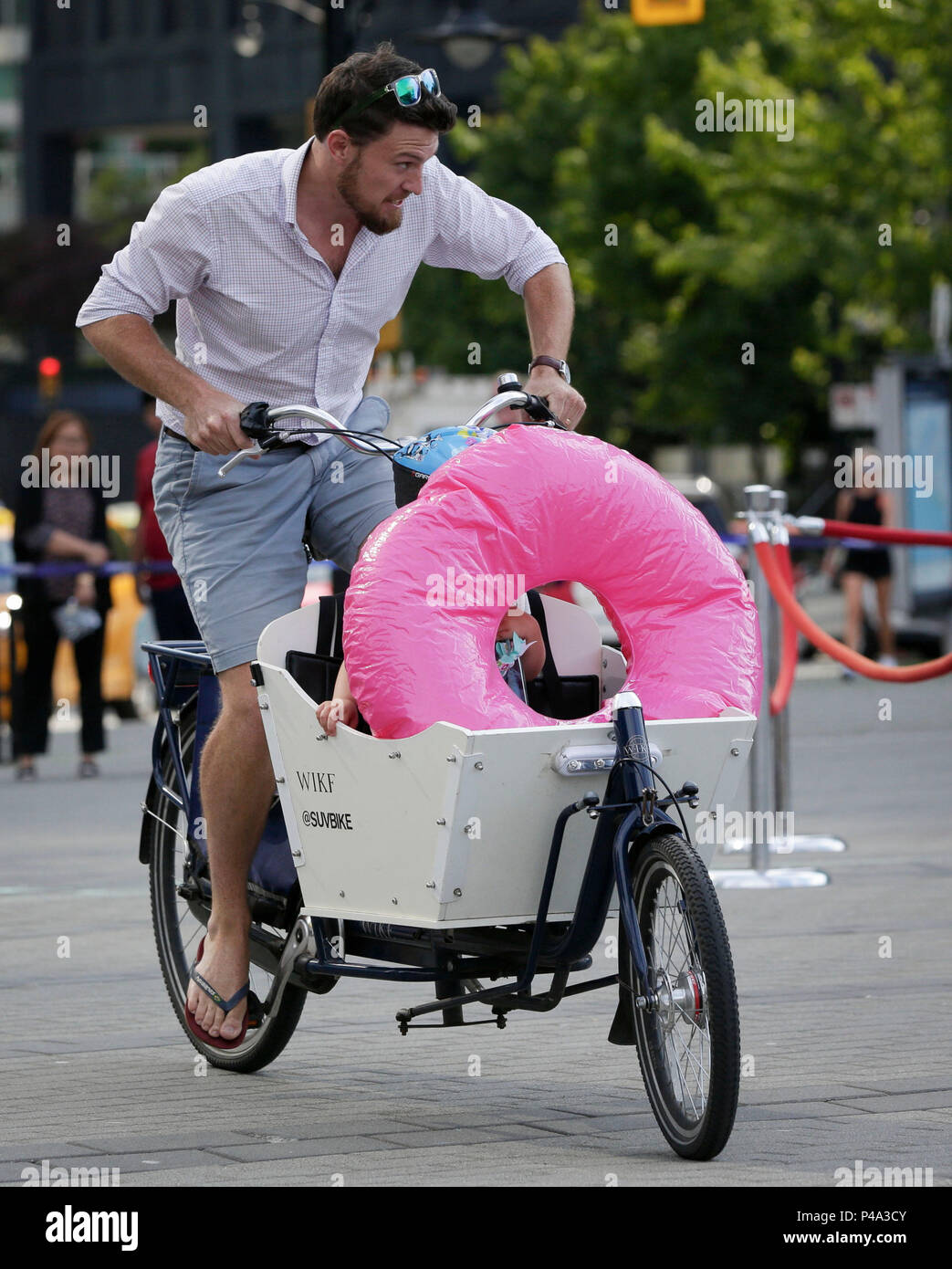 wike cargo bike