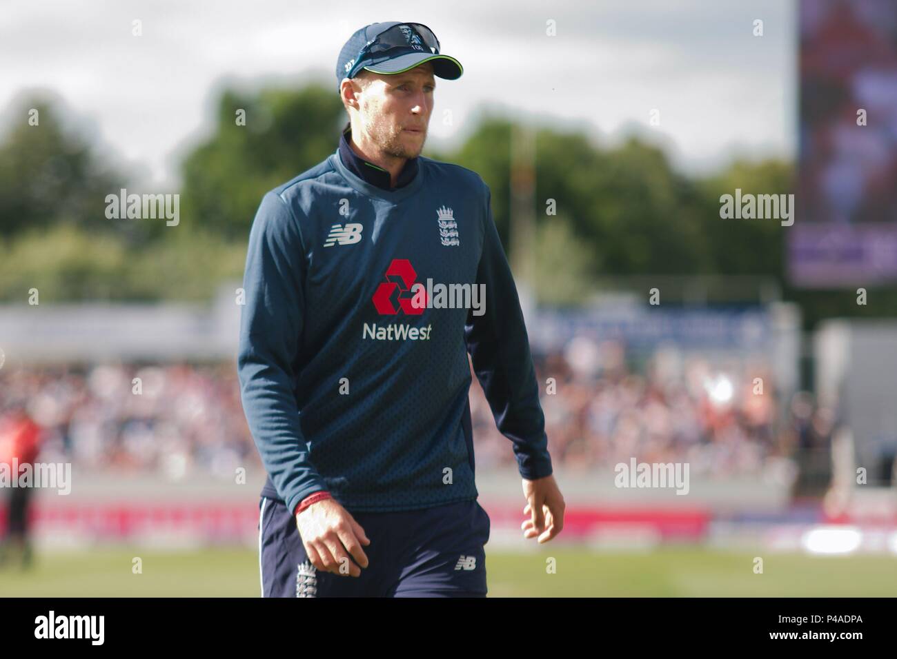 Chester-le-Street, England 21 June 2018. Joe Root fielding for England against Australia in the fourth ODI at Emirates Riverside. Credit: Colin Edwards/Alamy Live News. Stock Photo