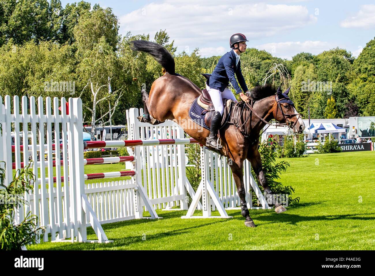 Jack Whitaker riding El Wee Widge. GBR The under 25's Masters 1st leg. The Al Shira'aa Hickstead Derby Meeting. Showjumping. The All England Jumping Course. Hickstead. West Sussex. UK. Day 2. 21/06/2018. Stock Photo