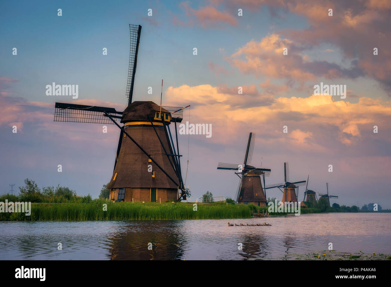 Sunset above old dutch windmills in Kinderdijk, Netherlands Stock Photo