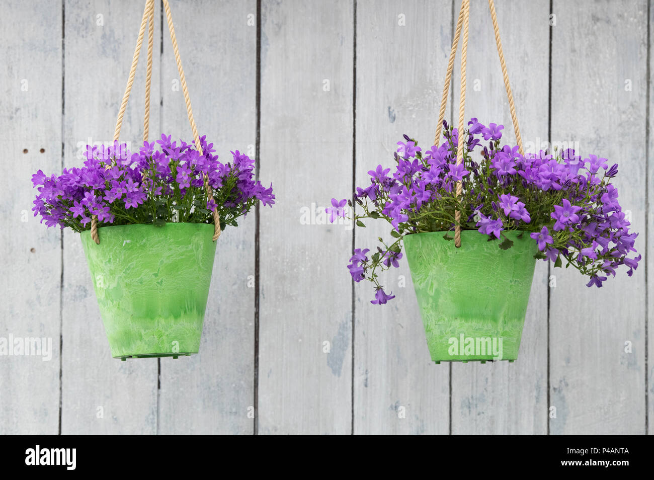 mini macrame plant hanger Macrame main image 1