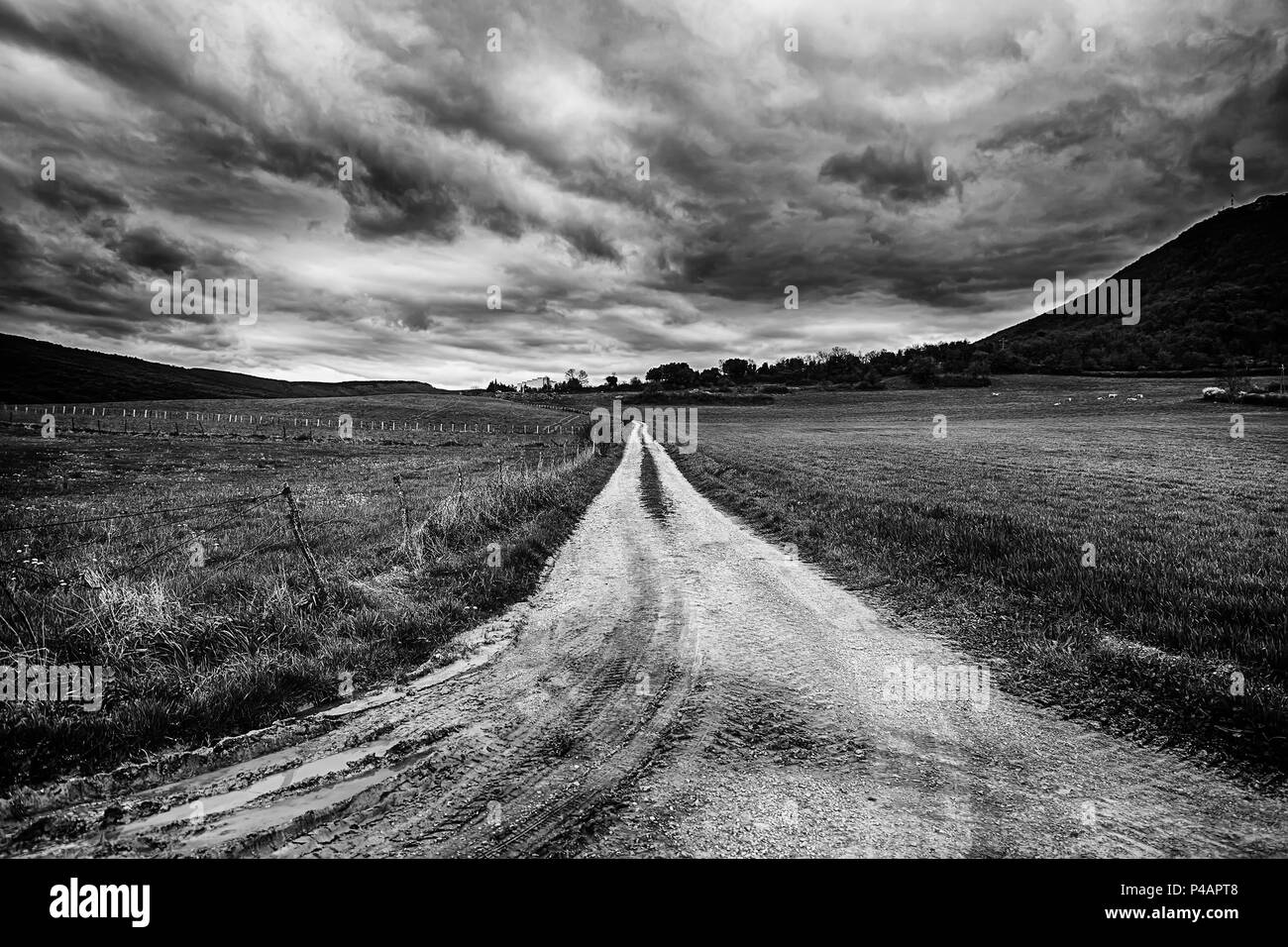 Road through rural field Black and White Stock Photos & Images - Alamy