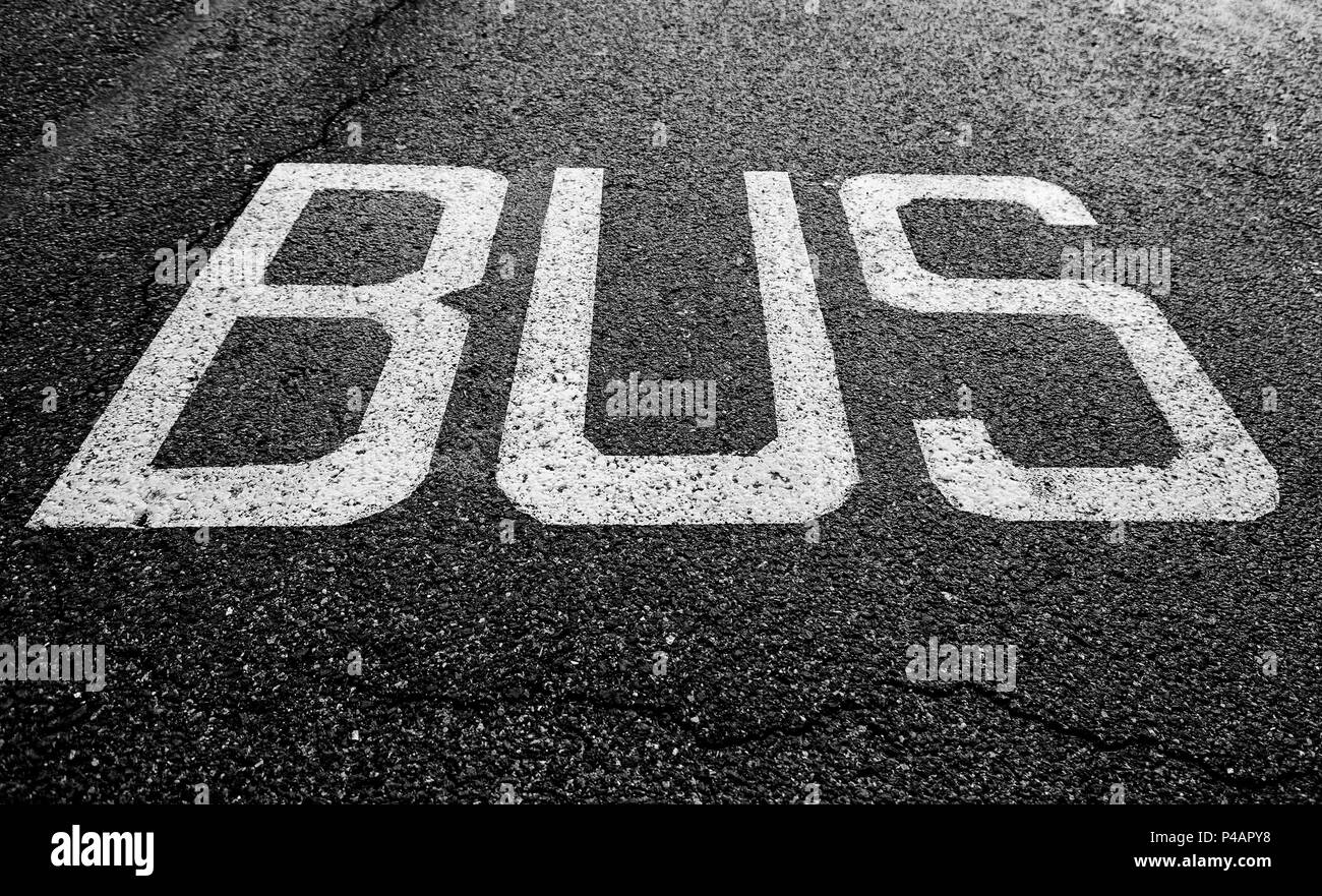 Bus signal on the asphalt, traffic signal detail of public transport ...