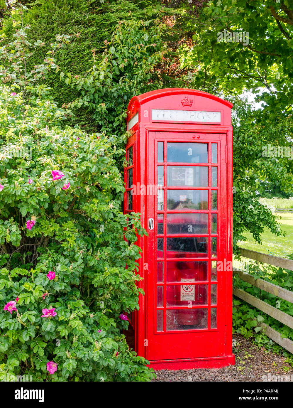 Iconic British red telephone box, Dirleton village, East Lothian, Scotland, UK Stock Photo