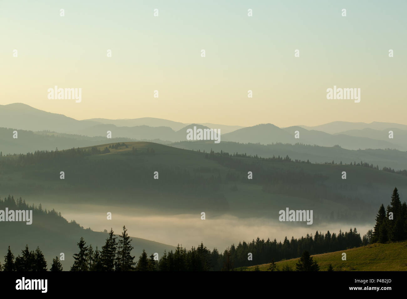 view of a valley in a beautiful early morning with fog between ...