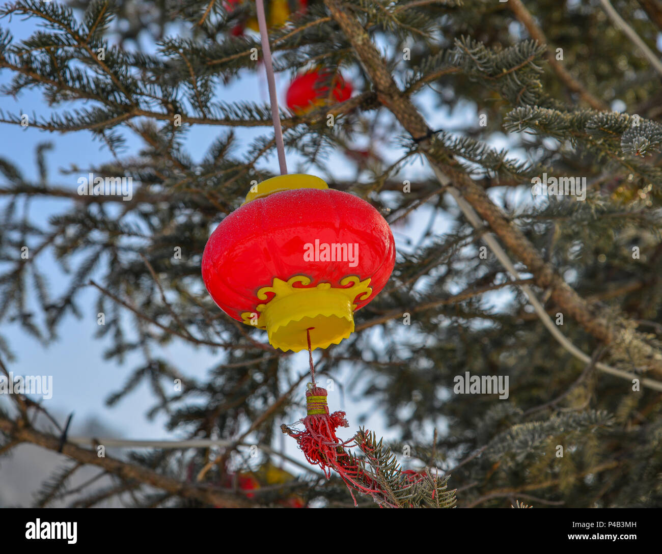 Paper lantern hanging on trees hi-res stock photography and images - Alamy