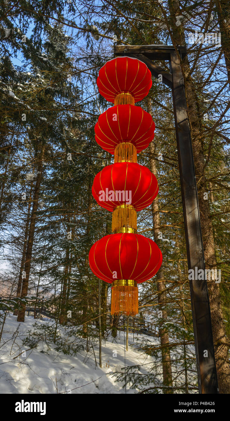 Chinese red lantern hanging on a trees in winter forest Stock Photo - Alamy