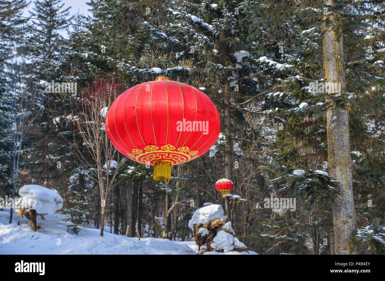 Paper lantern hanging on trees hi-res stock photography and images - Alamy