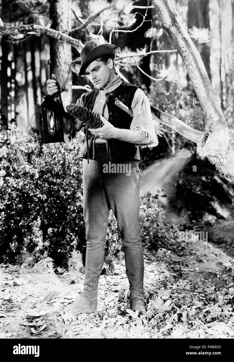 Original Film Title A MIDSUMMER NIGHT'S DREAM. English Title A