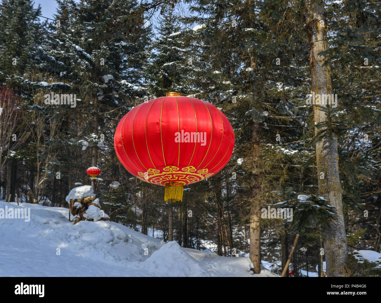 Paper lantern hanging on trees hi-res stock photography and images - Alamy