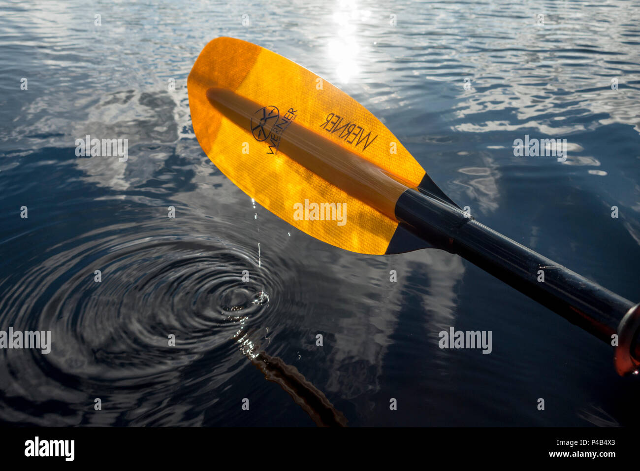 Kayak paddle above mirror reflecting wetlands, Everglades National Park, Miami, Florida, USA