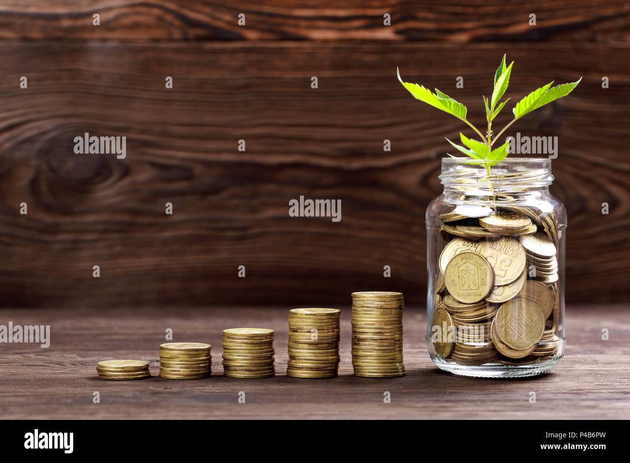 Plant growing in coins glass jar for money Stock Photo - Alamy