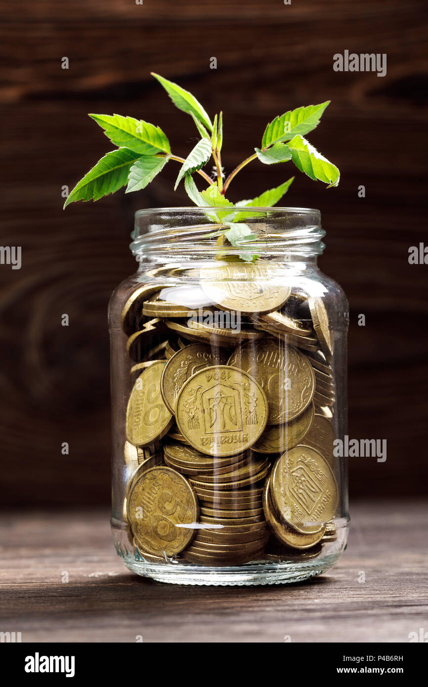 Plant growing in coins glass jar for money Stock Photo - Alamy