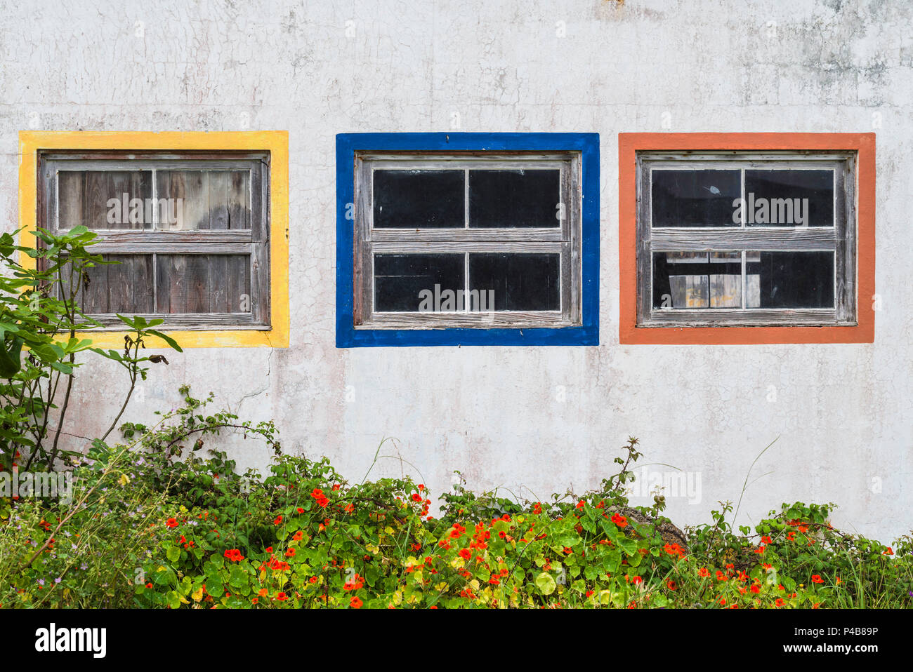 Portugal, Azores, Santa Maria Island, Anjos, windows of the old factory Stock Photo