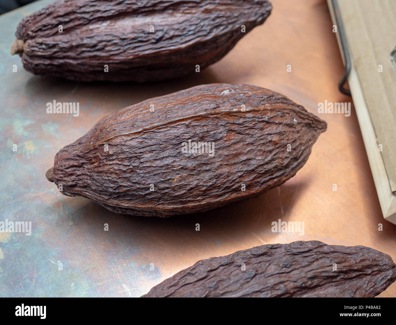 Some fresh, natural, cocoa and cacao bean hulls sitting on a metal table Stock Photo