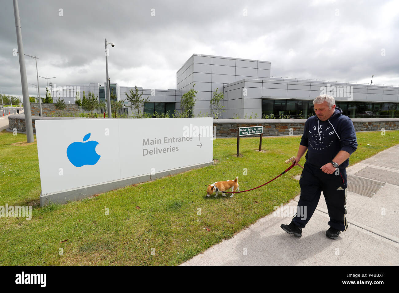 A general view of Apple European headquarters at Hollyhill industrial