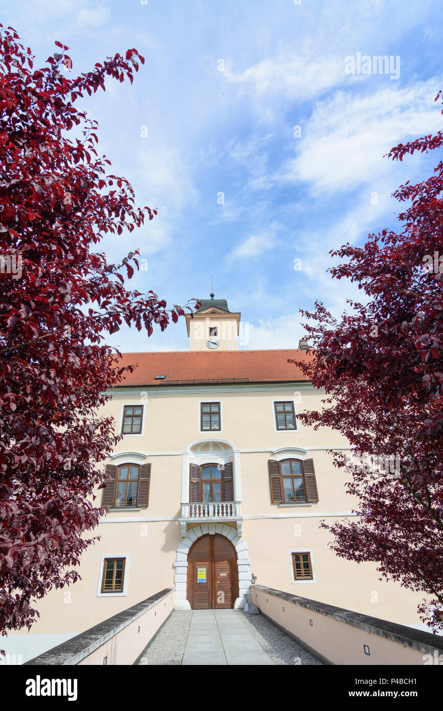 Vösendorf, Schloss (castle), today Rathaus (town hall), Wienerwald, Vienna Woods, Lower Austria, Austria Stock Photo