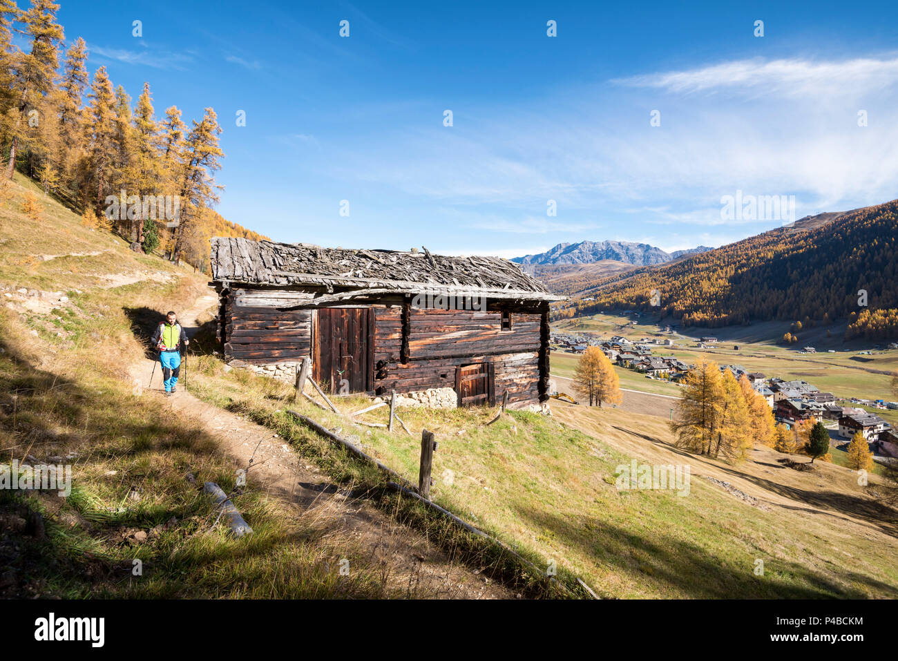 Hiker travelling on the track in Livigno, Province of Sondrio, Lombardy, Italy, European Stock Photo