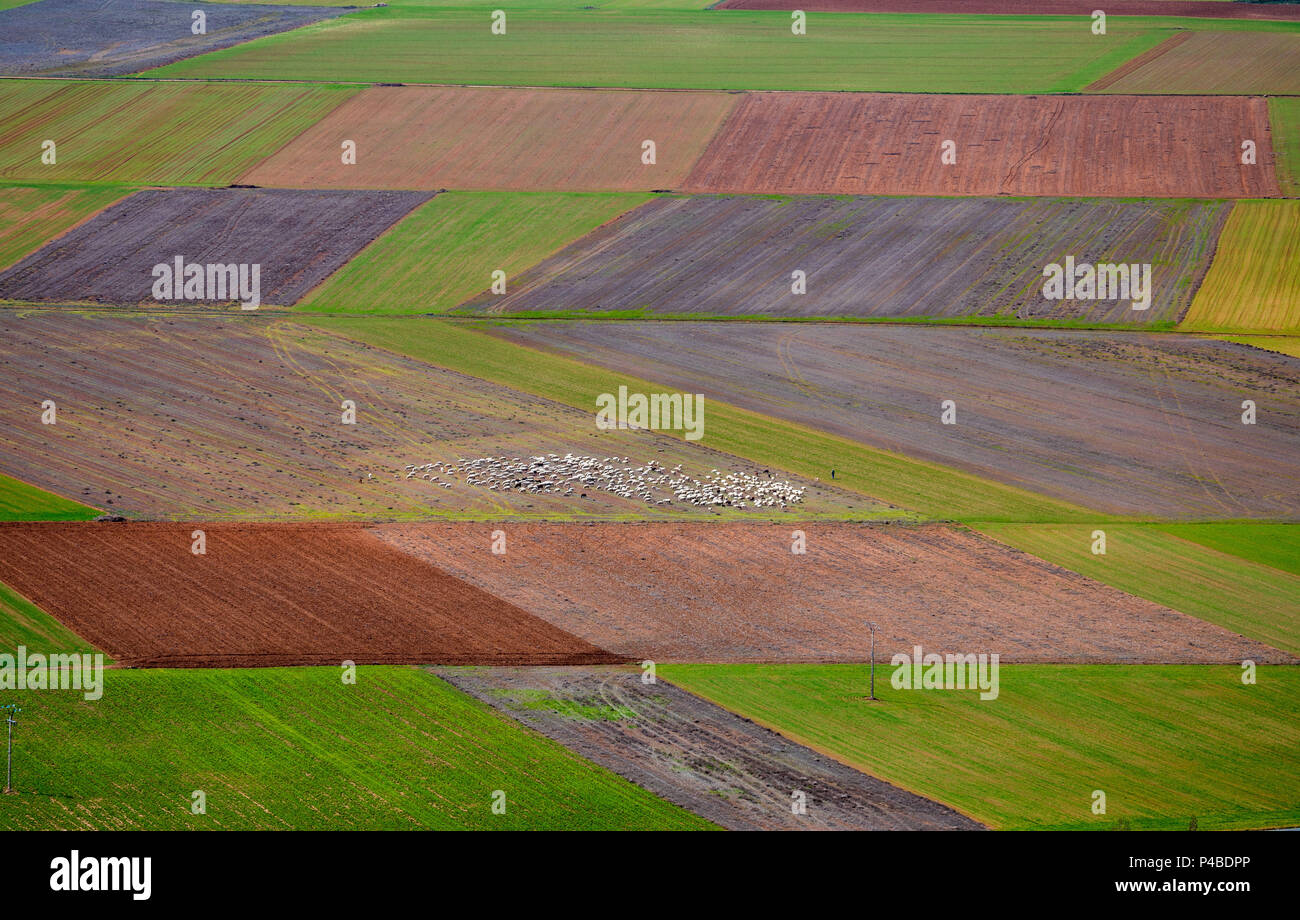 Soria see hi-res stock photography and images - Alamy