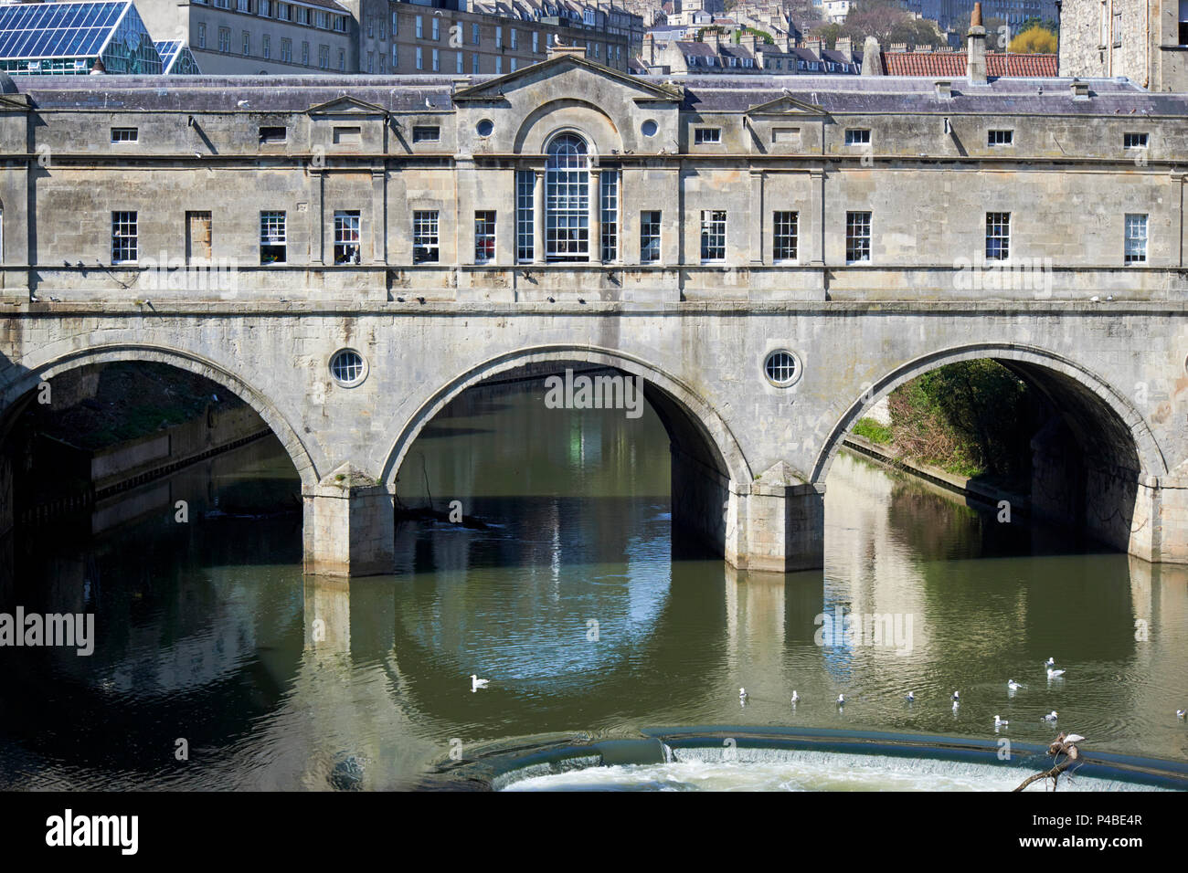 close up view of the river avon flowing under the Pulteney Bridge and ...