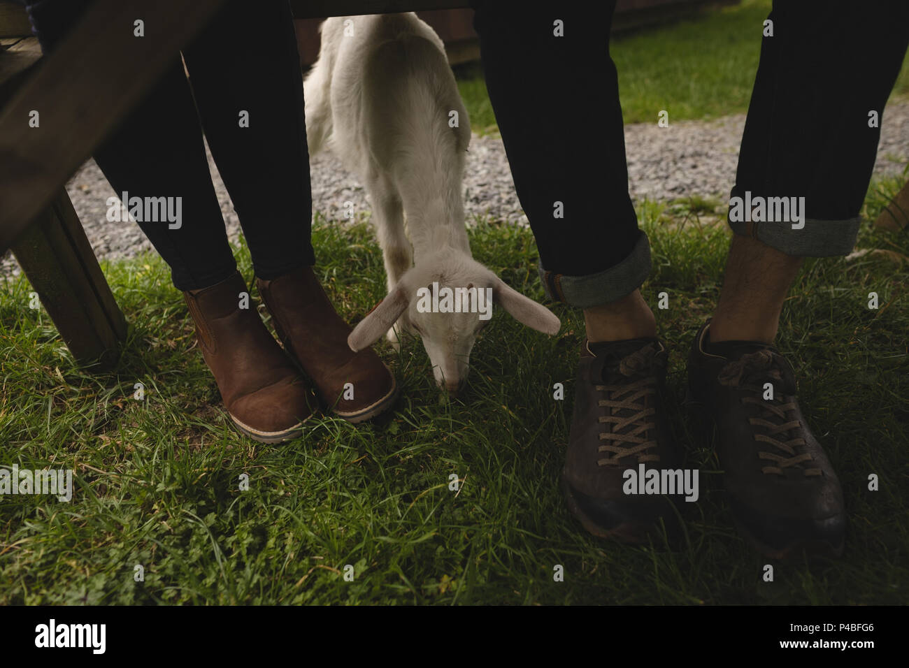 Together with a goat travel hi-res stock photography and images - Alamy