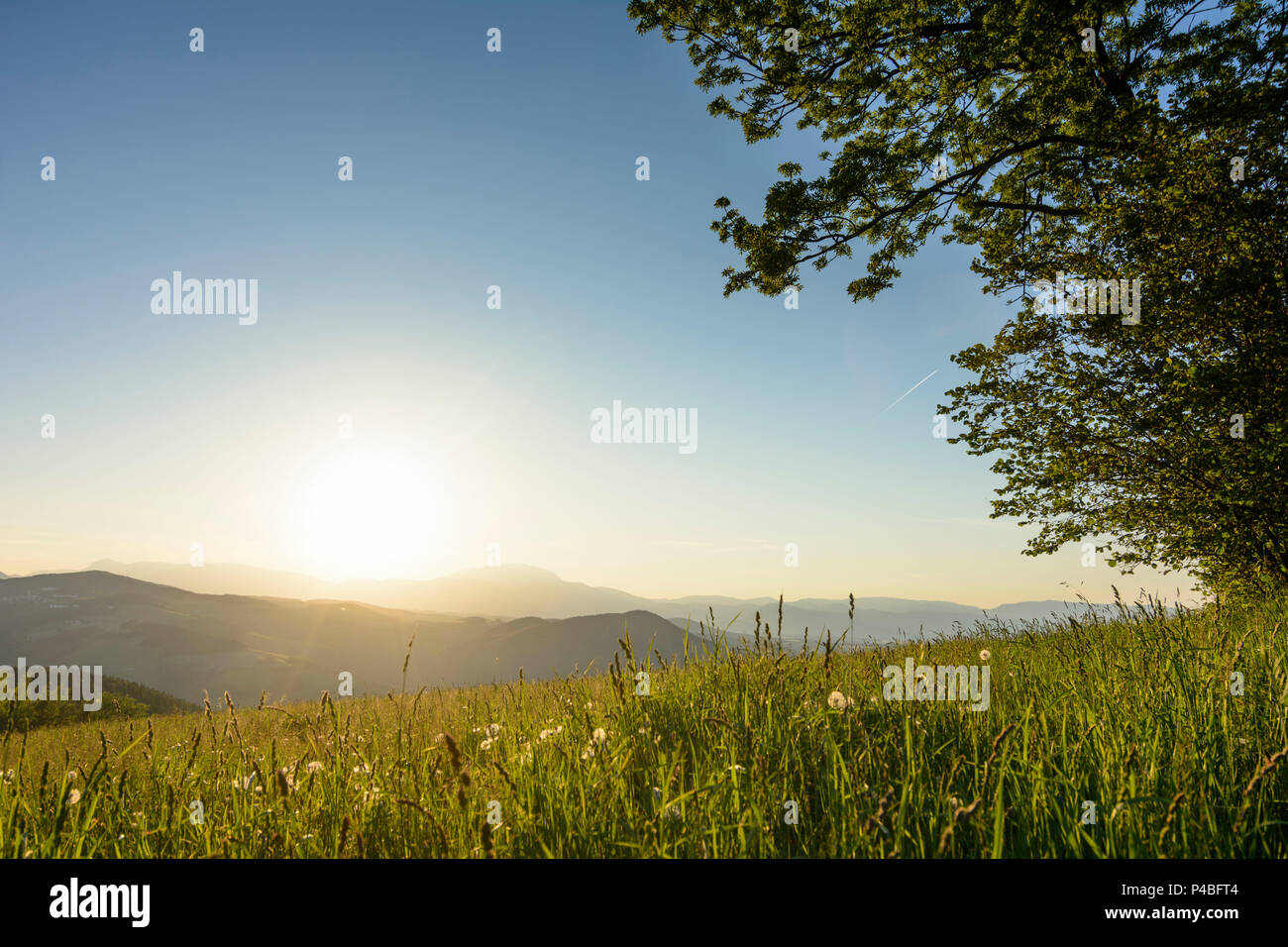Edlitz, mountains Bucklige Welt, view to Schneeberg, sun, meadow, Wiener Alpen (Vienna Alps), Lower Austria, Austria Stock Photo