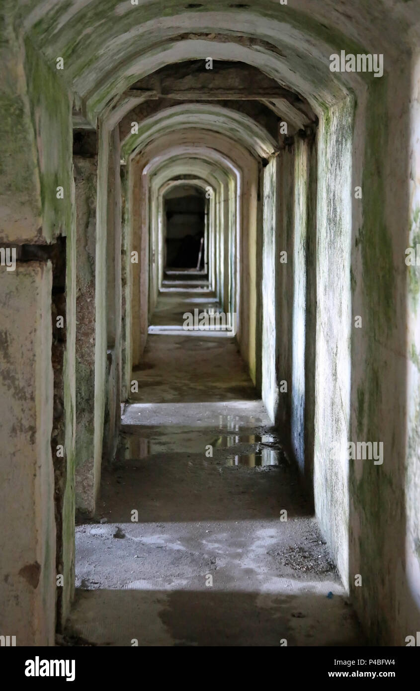 First world war tunnel hi-res stock photography and images - Alamy