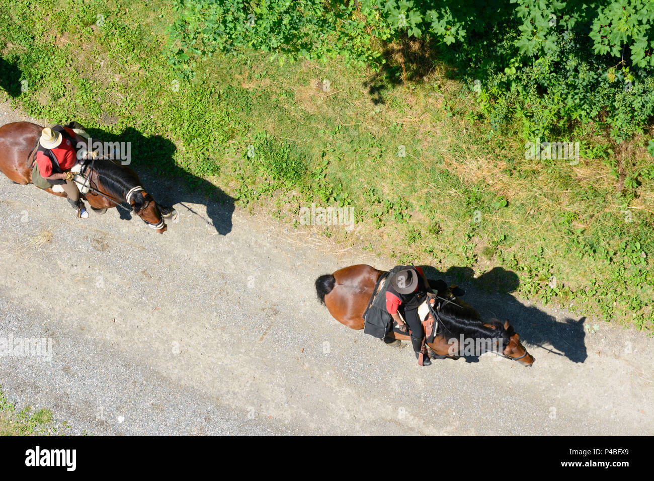 Mureck, horse and horseman, cowboy look, from above, Süd-Steiermark (South Styria), Styria, Austria Stock Photo