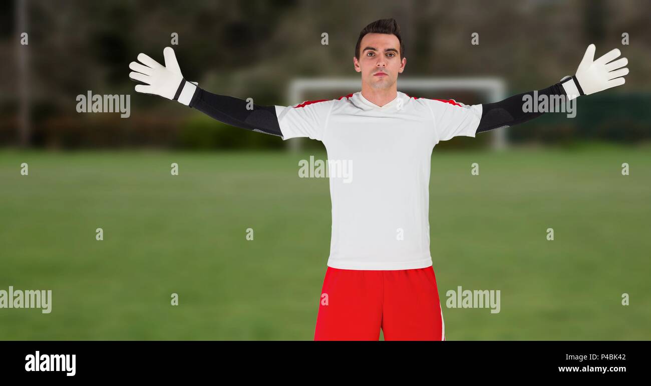 Soccer goalkeeper near goal Stock Photo Alamy